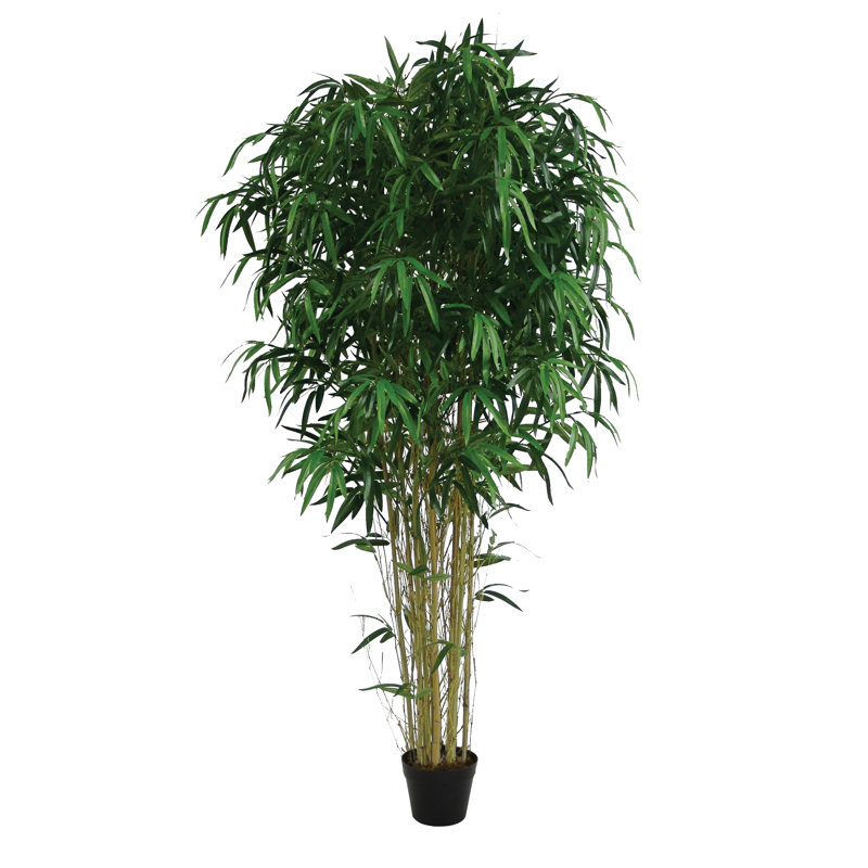 150cm Bamboo Tree in Planter