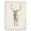 « elk study » par paul cezanne-photo-cadre, reproduction d’art-24364737-24364736