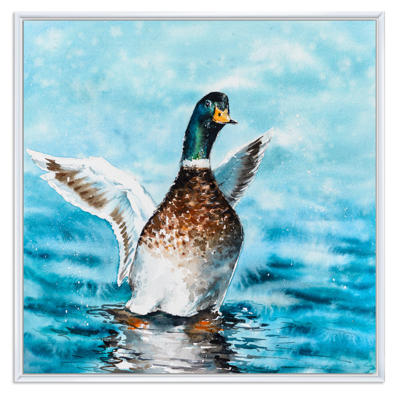 Canard colvert étirant ses ailes - sur, H 16 po x l 16 po x P 1 po, Toile encadrée flottée blanche