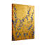 Plantes et fleurs Onen-451835337-451835339-451835351