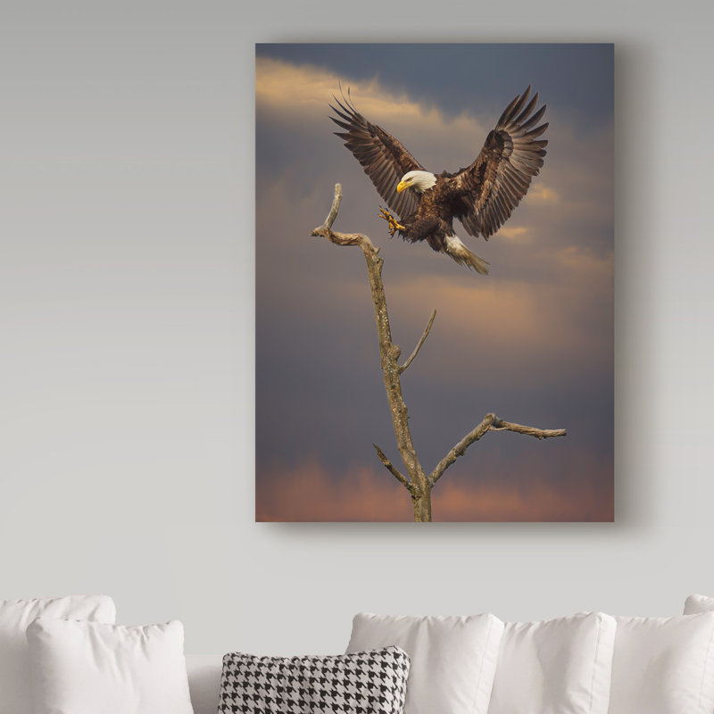 Fillmer «Eagle Landing on Branch», reproduction de photo sur toile tendue, H 19 po x l 14 po x P 2 po