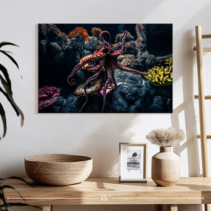 Brampt Octopus Habitat, 16" H x 24" W