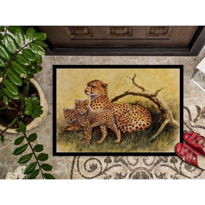 Non-Slip Outdoor Doormat