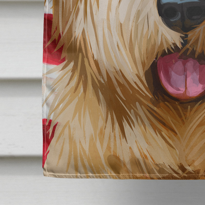 Polyester à 2 côtés 28 x 40 po drapeau maison, Terrier de Norfolk