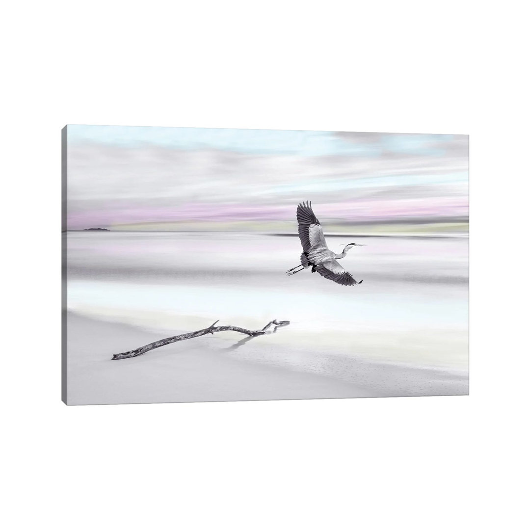 Great Blue Heron At Ocean Beach With Spot Color von Laura D Young - Galerie-umwickelte Leinwand Giclée auf Leinwand