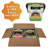Sierra Mega Citronella 2-Pack Bucket Candle.