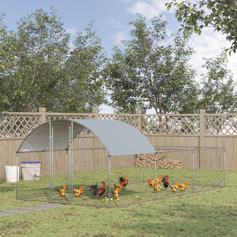 Poulailler en métal, aquatique et pour 15 à 18 poulets, lapins, canards, point d'entrée sécuritaire, toit ombragé, plan d'installation sans abri