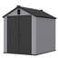 Remise de rangement en plastique 6 * 8Ft en résine pour le jardin