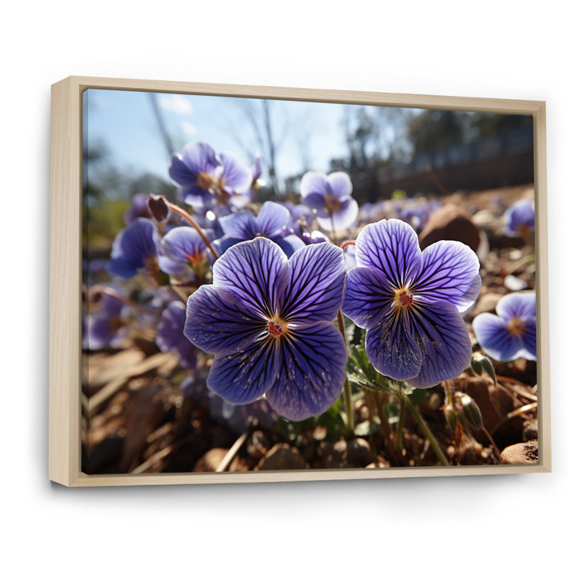 «Vibrant Violets Field Photo I», reproduction sur toile, Cadre naturel flottant, H 30 po x l 40 po x P 1,5 po