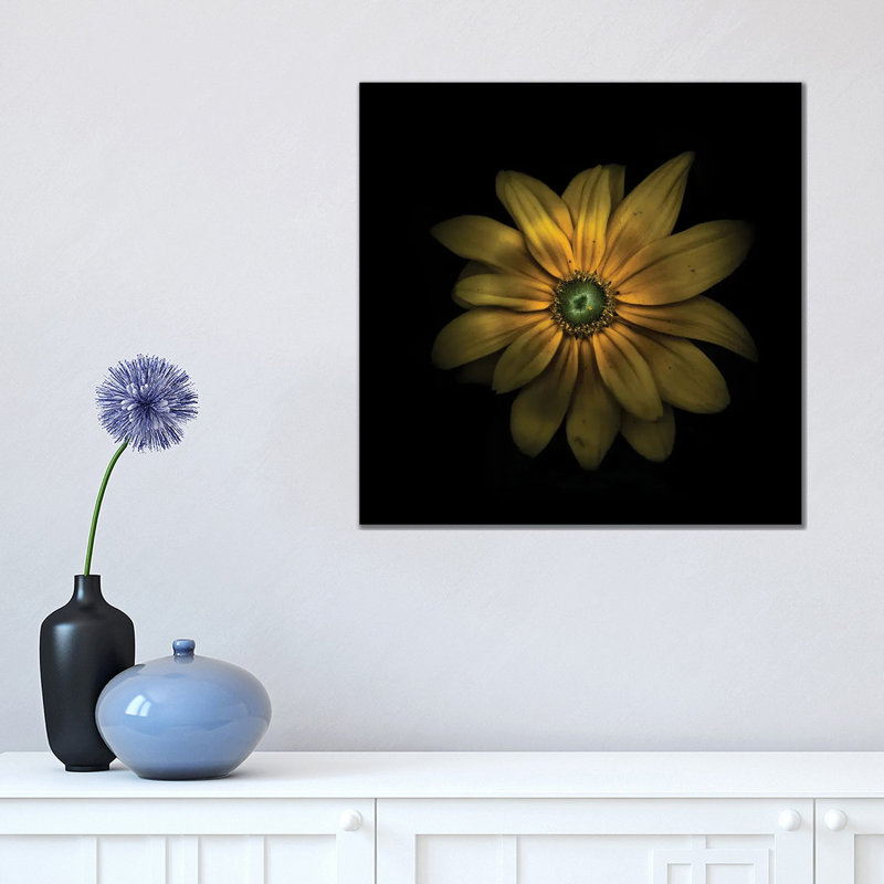 Green Center Daisy by Brian Carson - Wrapped Canvas Print, 45.72 cm H x 45.72 cm W x 1.91 cm D