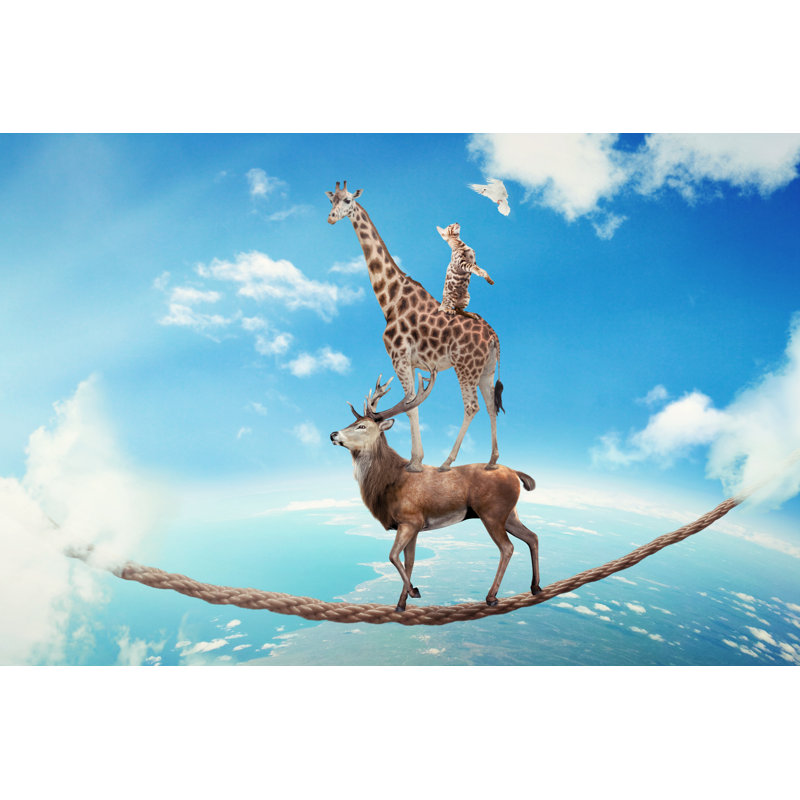 Henriksen Walking On Dangerous Rope - Wrapped Canvas Print, 30cm H x 46cm W x 3.8cm D