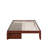 Aayanna Panel Storage Bed-331989196-306881207