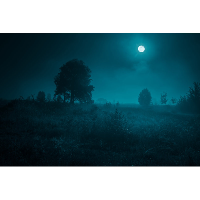 Silhouettes Of The Trees by Stsmhn - Wrapped Canvas Print, 30cm H x 46cm W