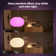 Philips Hue Flourish Ceiling Pendant Light With White And Colour Ambiance Smart LED - Control Via Hue App, Alexa, Google Assistant, And Apple Homekit