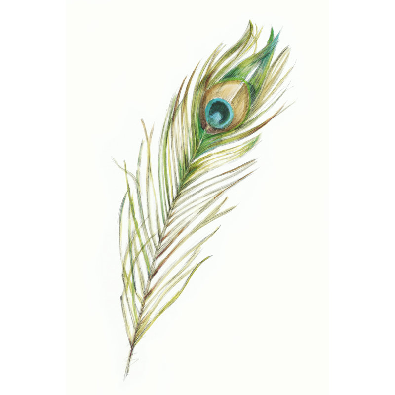 Watercolor Peacock Feather II - Wrapped Canvas Painting, 46cm H x 30cm W x 3.8cm D