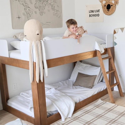 Ambur Twin over Twin Solid Wood Bunk Bed