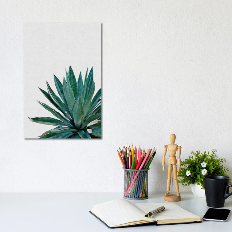 Agave Cactus by Orara Studio - Print on Canvas