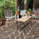 Isle Geometric Indoor / Outdoor Rug