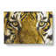 Eye Of The Tiger - Wrapped Canvas-61876781