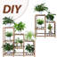 Support rectangulaire à plusieurs niveaux pour plante d'eucalyptus