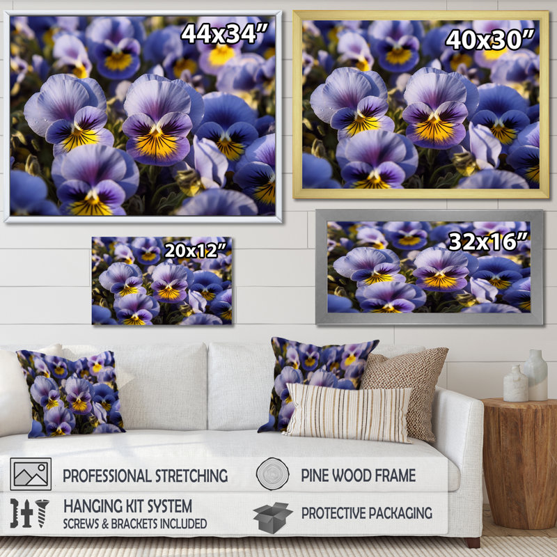 «Purple Yellow Pansies Harmony II», reproduction sur toile, H 30 po x l 40 po x P 1,5 po, Cadre simple blanc