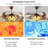 Alexandrine 42'' Ceiling Fan with LED Lights