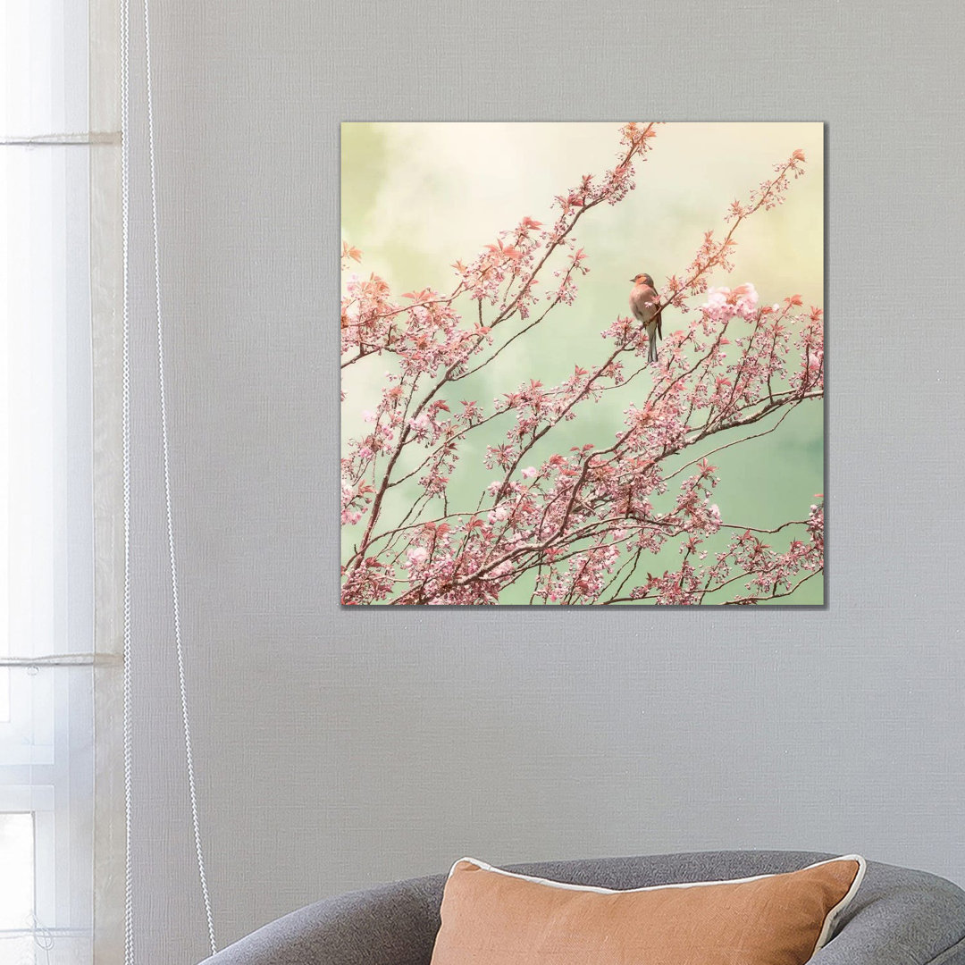 Bird With Cherry Blossom - Wrapped Canvas Print