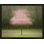 Pretty in Pink by Laura Zimmerman - Framed Wall Art