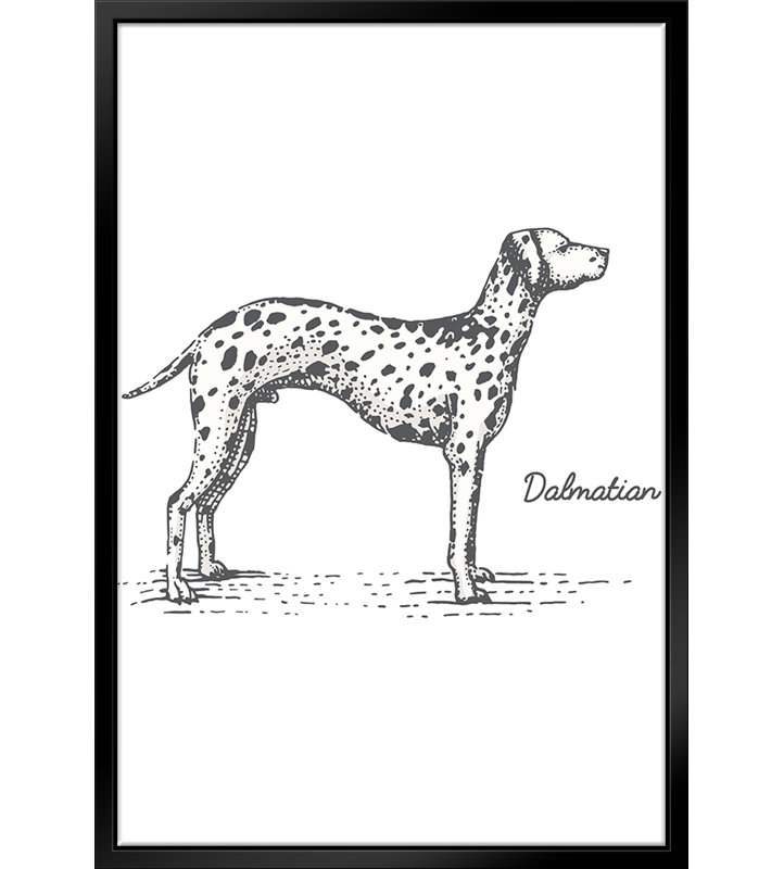 Dalmation - reproduction de cadre flottant sur toile, H 14 po x l 11 po