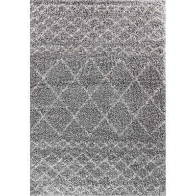Tocoloma Geometric Shag Area Rug