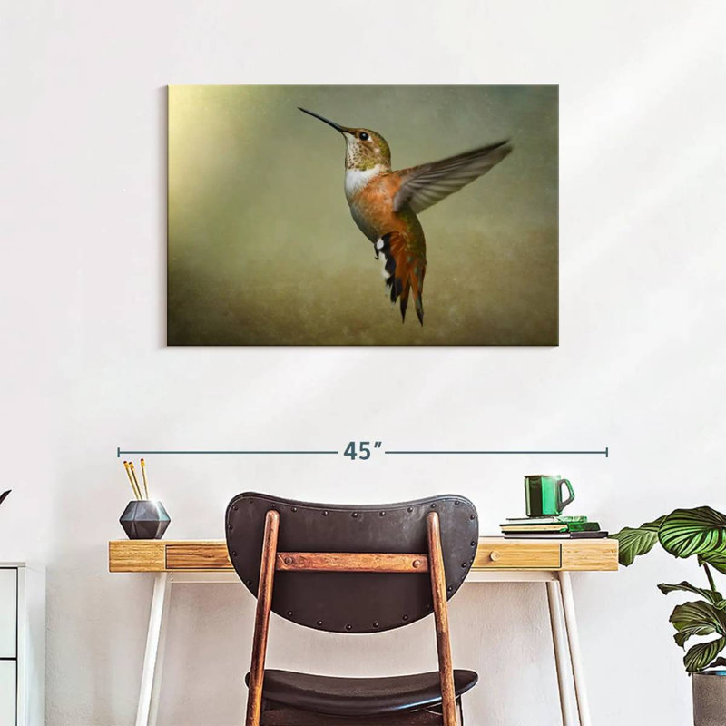 Colibri roux Brampt femelle, H 24 po x l 36 po