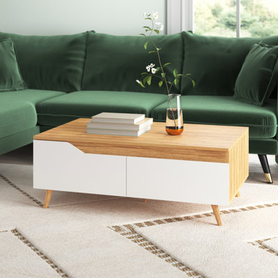 Alishan Coffee Table with Storage