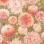 Dahlia Wallpaper-68984590