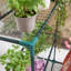 5 Ft W x 2 Ft D Greenhouse