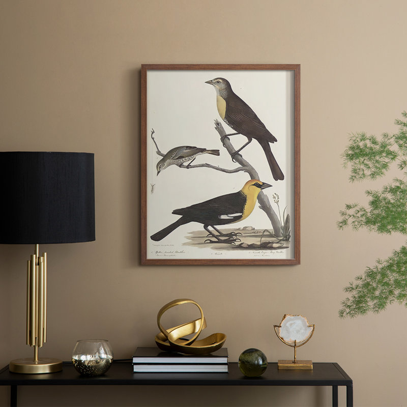 Vintage Animal Print XVIII Framed Print - Solid Wood, H 30 po x l 24 po, Noyer