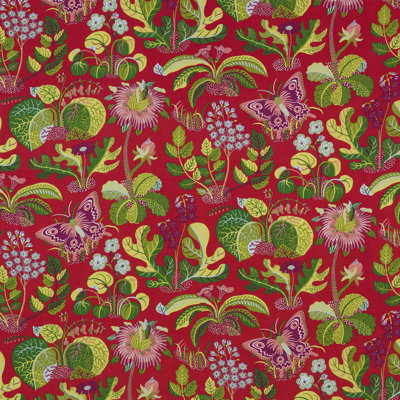Exotic Butterfly Fabric