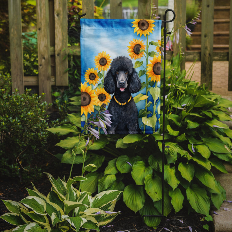 Lévrier irlandais dans le drapeau du jardin de tournesols, Or / caniche noir
