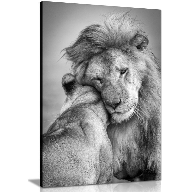 Lion And Lioness Couples Love - Wrapped Canvas Art Prints, 	61cm H x 41cm W