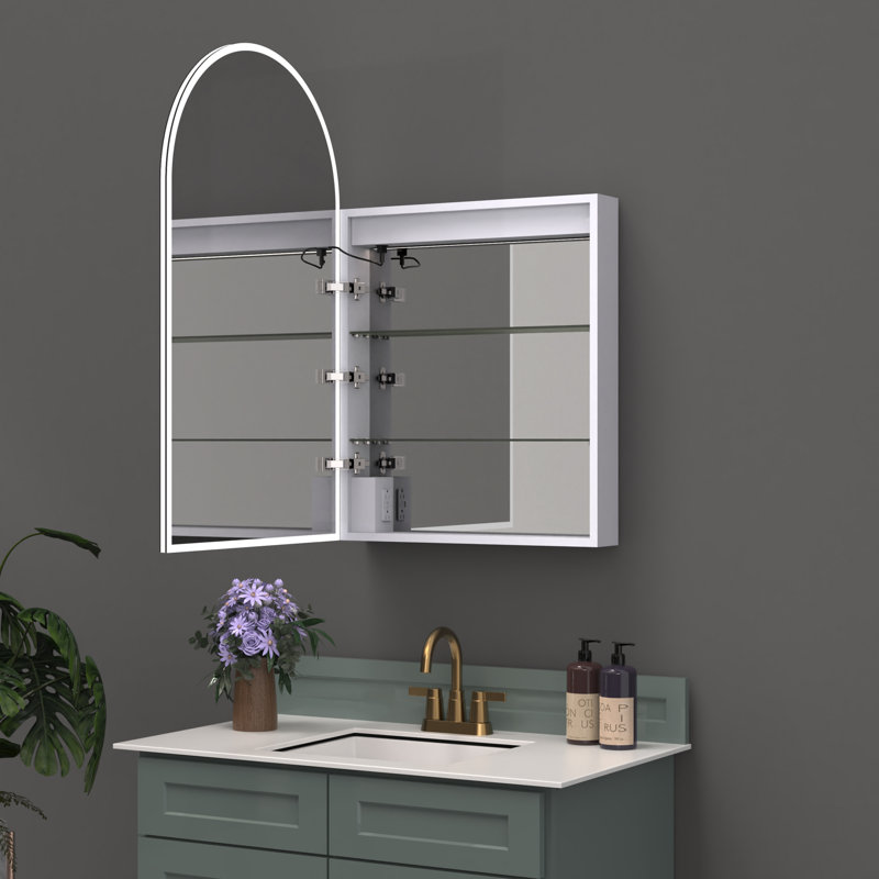 Surface and Recessed Medicine Cabinet