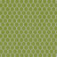 Celery