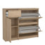 Aveon 12 Pair Shoe Storage Cabinet-1263250257