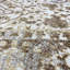Floral Indoor Rug-55863907