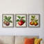 Antique Fruit IX - Ensemble de 3 peintures sur toiles encadrées-1360715209-1360715210