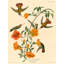 Mangrove Humming Bird by John Audubon - Wrapped Canvas Painting-1528063452