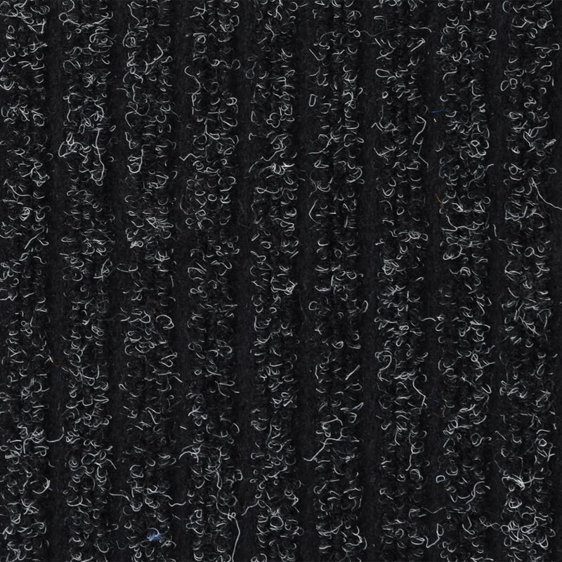 Gracianna Doormat, 60cm W x 80cm L, Anthracite