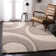 Kerio Shag Performance Abstract Rug