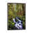 Grey est en rupture de stock