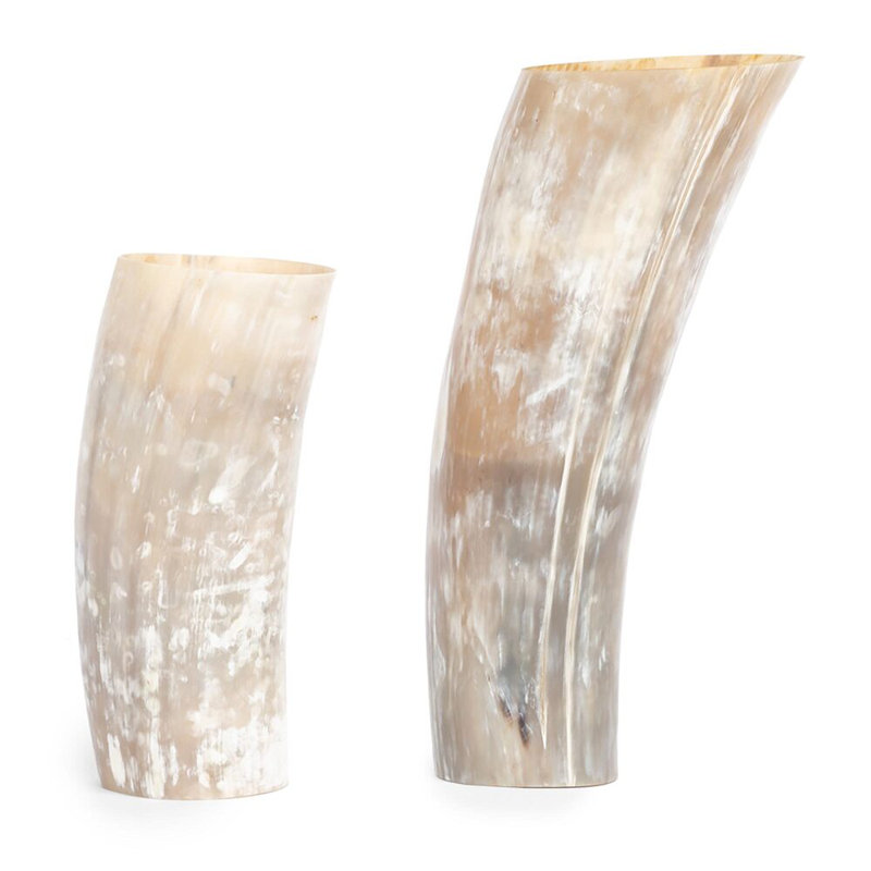Ankole-Watusi Cow Horn Table Vase, 8" H x 3" W x 3" D