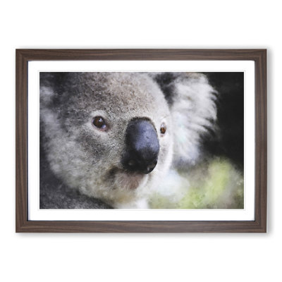 Koala Bear Vol.2 - Framed Print