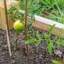 Piquet de jardin en treillis naturel-20302243